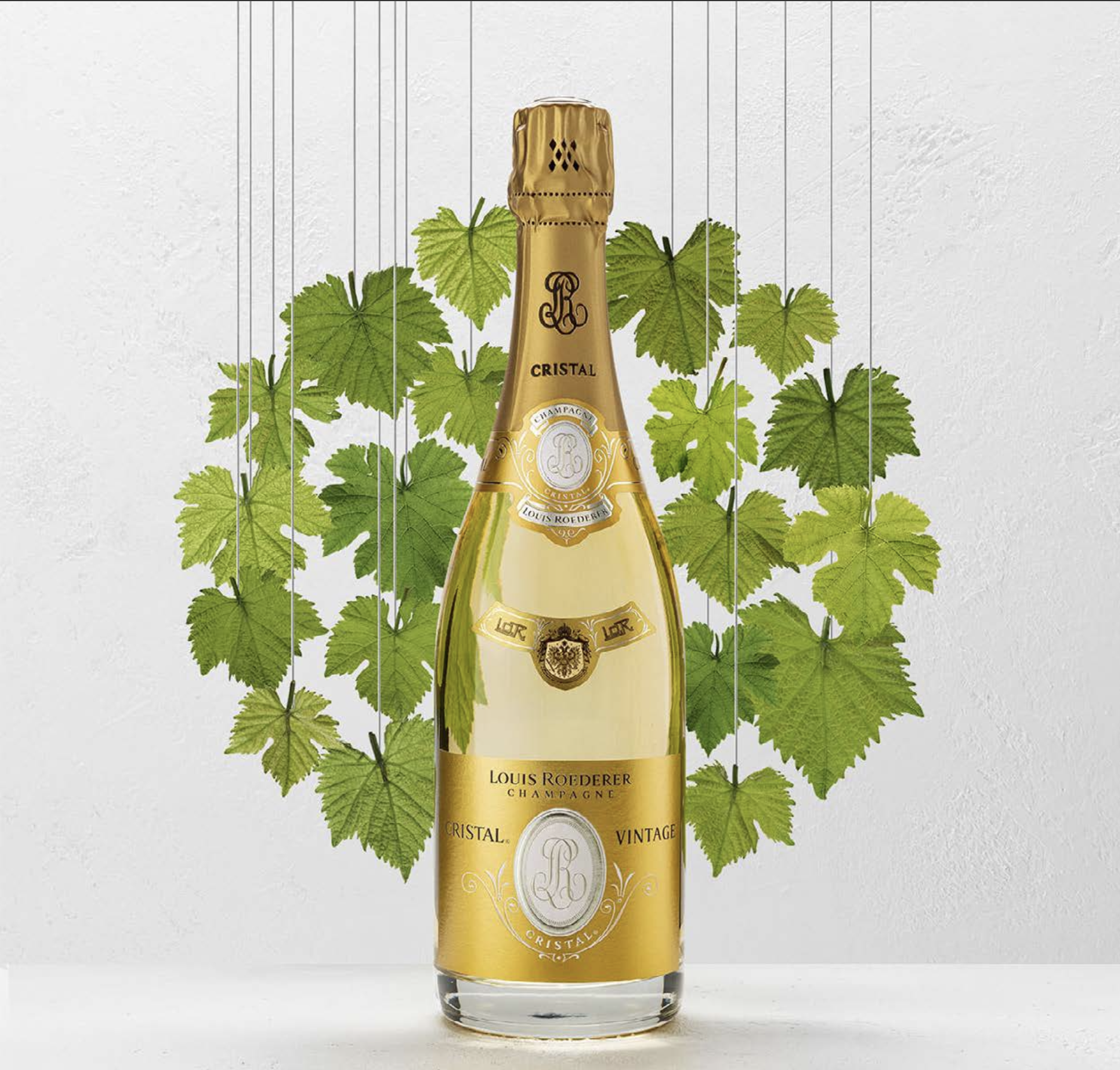 Capture d’écran 2026-03-05 à 17.42.29